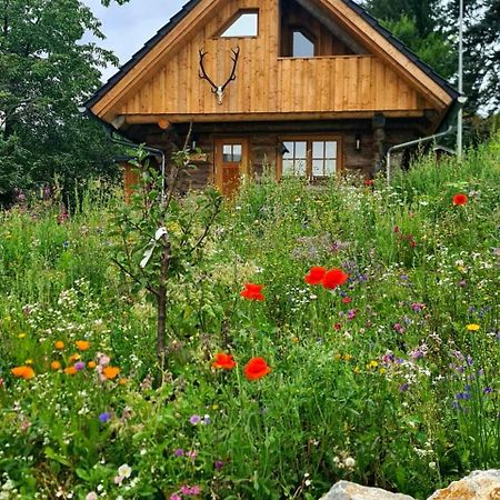 Вілла Blockhaus Panhuette Браунлаге Екстер'єр фото