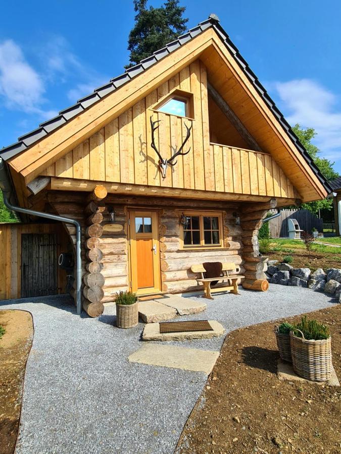 Вілла Blockhaus Panhuette Браунлаге Екстер'єр фото