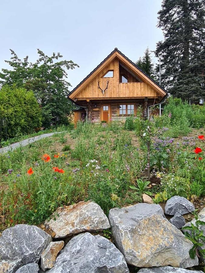 Вілла Blockhaus Panhuette Браунлаге Екстер'єр фото